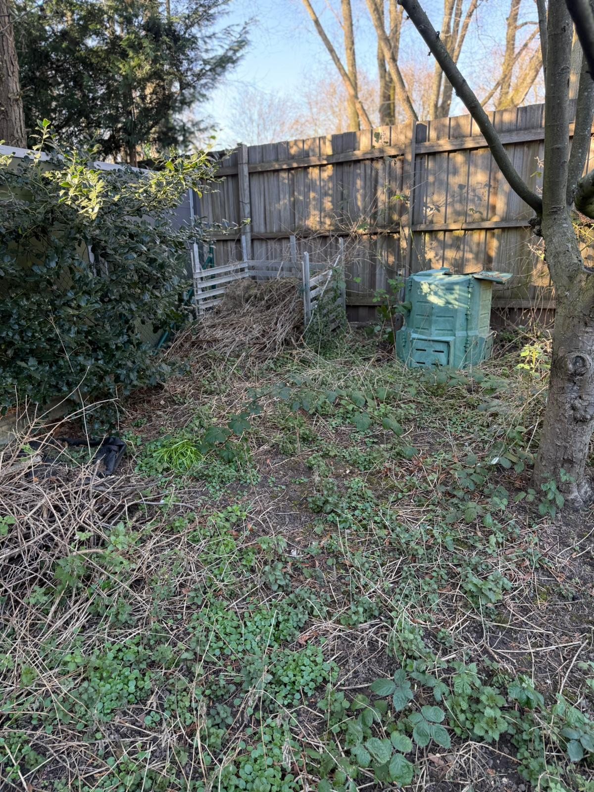 Vorher Garten